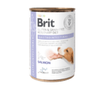 Karma dla psa Gastrointestinal, puszka 400g - Brit Veterinary Diet Dog łosoś