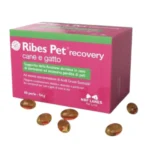 Suplement na skórę dla psa i kota, 60 kapsułek - RIBES PET CANE E GATTO RECOVERY
