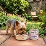 karma dla psa gastrointestinal low fat, brit gastrointestinal low fat, puszka 200g