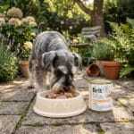 Karma dla psa hepatic, brit hepatic, puszka 200g, karma mokra