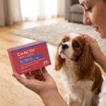 suplement na serce dla psa i kota kapsułki omega 3, CorACTIV