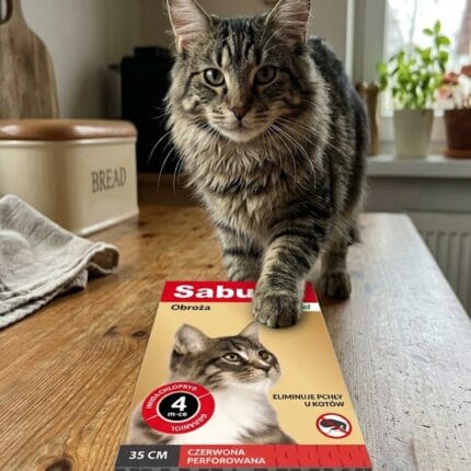 Sabunol obroża przeciwpchelna dla kotów czerwona perforowana