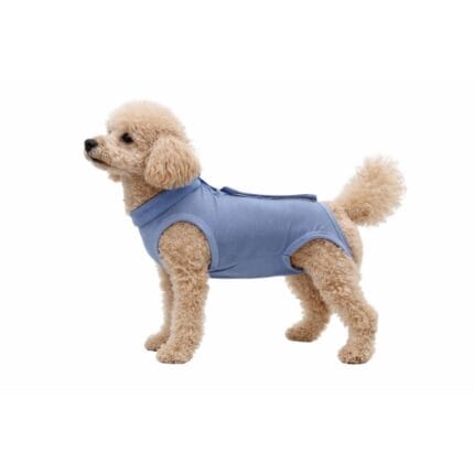 body pooperacyjne fit4pets na rzep niebieskie dla psa i kota ubranko pooperacyjne, ubranko ochronne dla psa po zabiegu, body po sterylizacji psa i kota fit4pets