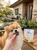 Brit Care Functional Snack Mobility Squid 150g – Bezzbożowe przysmaki na stawy dla psa z kałamarnicą i ananasem - obrazek 2