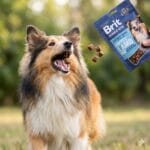 brit premium by nature snacks lamb