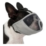 Tabela rozmiarów kagańców dla psów brachycefalicznych – dostępne warianty S, M, L oraz XL dla mopsów i buldogów.