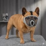 Kaganiec dla ras brachycefalicznych (S, M, L, XL) – Dla psa i kota | Oddychająca siatka dla mopsa, buldoga i persa - obrazek 2