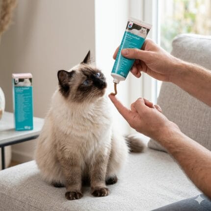 Zapomnij o kłopotliwych kulach włosowych! Covetrus Pilo-Cat to sprawdzona pasta na odkłaczanie dla kotów. Wspomaga trawienie, zapobiega zatorom i smakuje.