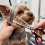 Degażówki dla psa jednostronne 6,5” (17cm) – precyzyjne nożyczki do cieniowania sierści - obrazek 2