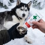 dr Seidel paw wax maść do łap