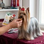 Dr Seidel smakołyki na piękną sierść dla psa