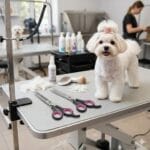 Degażówki dla psa jednostronne 6,5” (17cm) – precyzyjne nożyczki do cieniowania sierści - obrazek 3