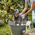 Szampon pielęgnacyjny dla psa For My Pet